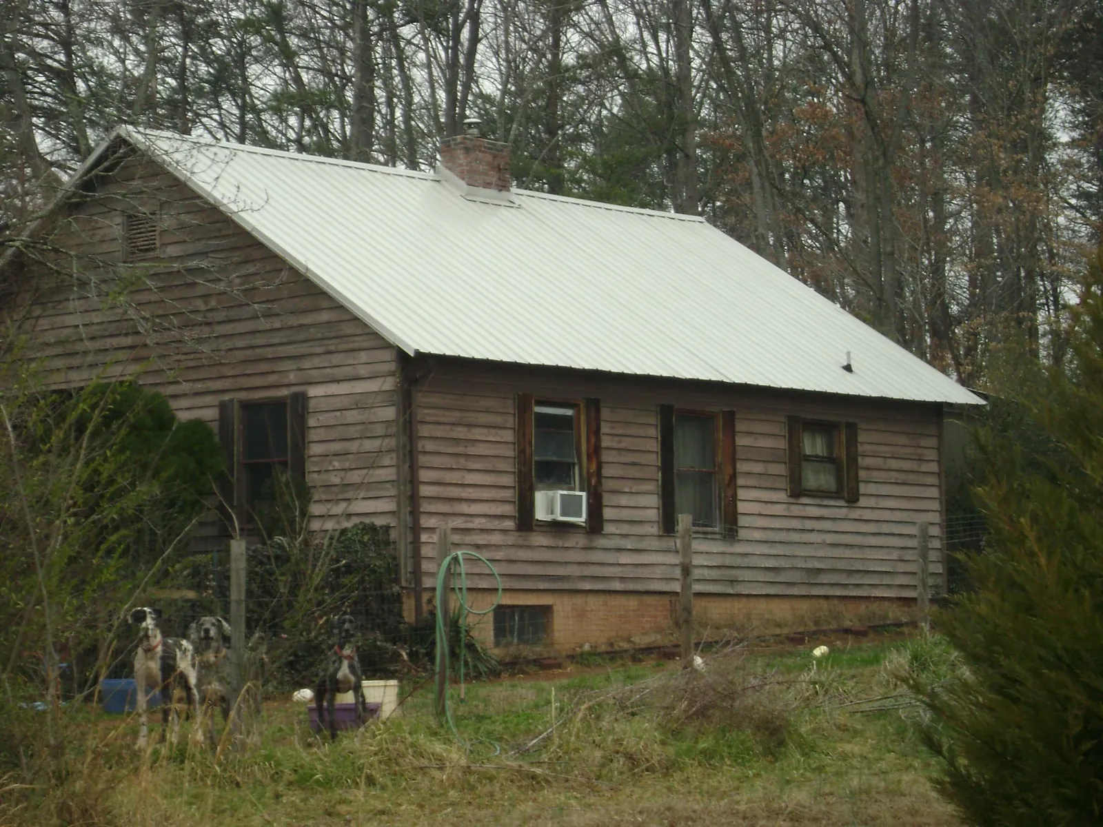 White metal roof on an old wood sided farmhouse, from a Asphalt Shingle Roof Repair job in Lairdsville